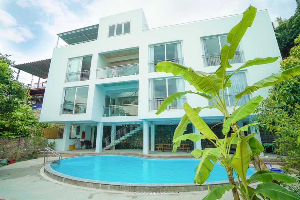 Review Banana And Rose